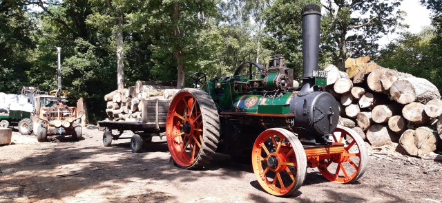 Old Timer pausing after arriving at the wood yard